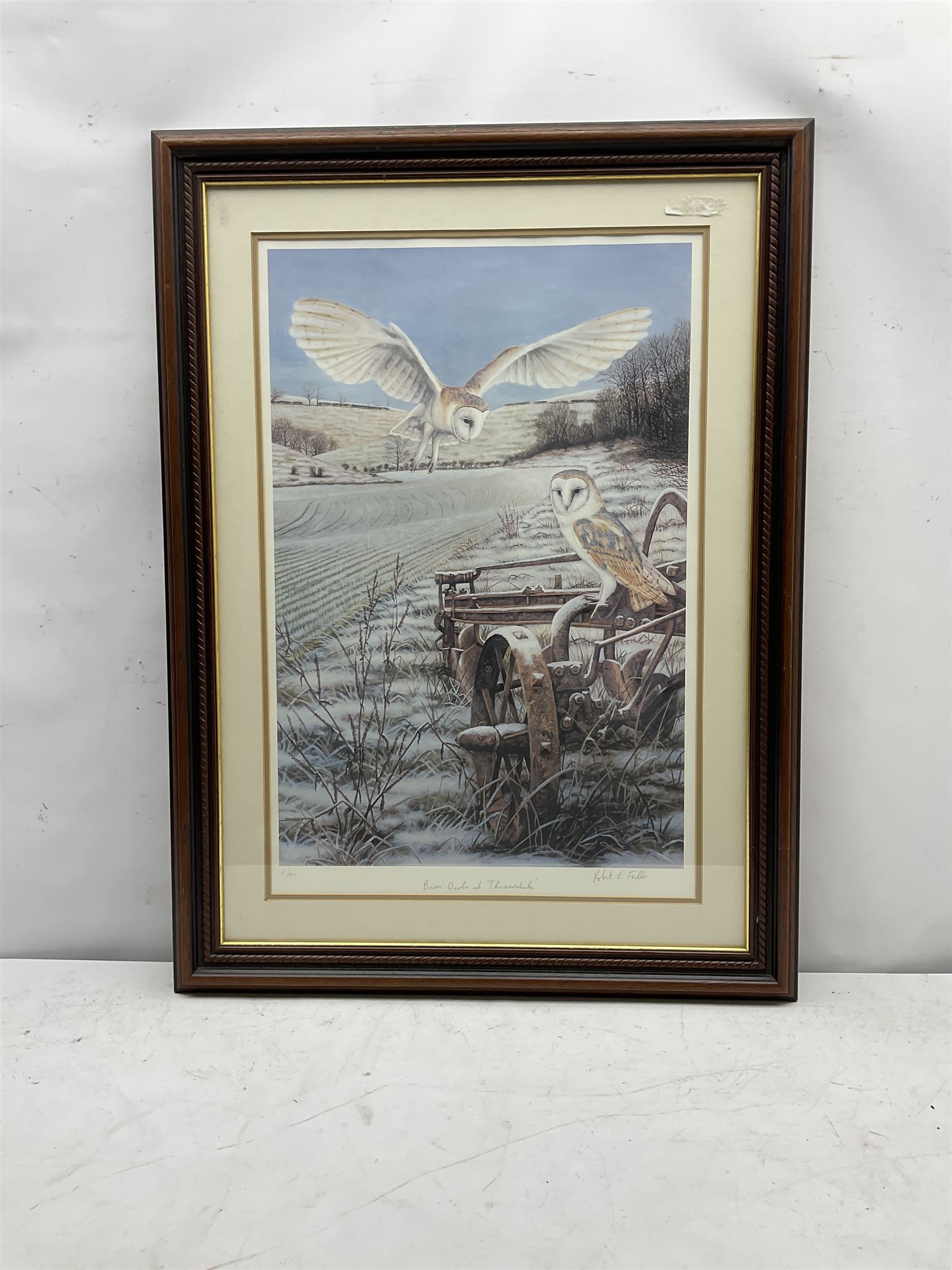 Robert E Fuller (British 1972-): 'Barn Owls at Thixendale', limited edition colour print signed and numbered 61/300 in pencil 55cm x 37cm