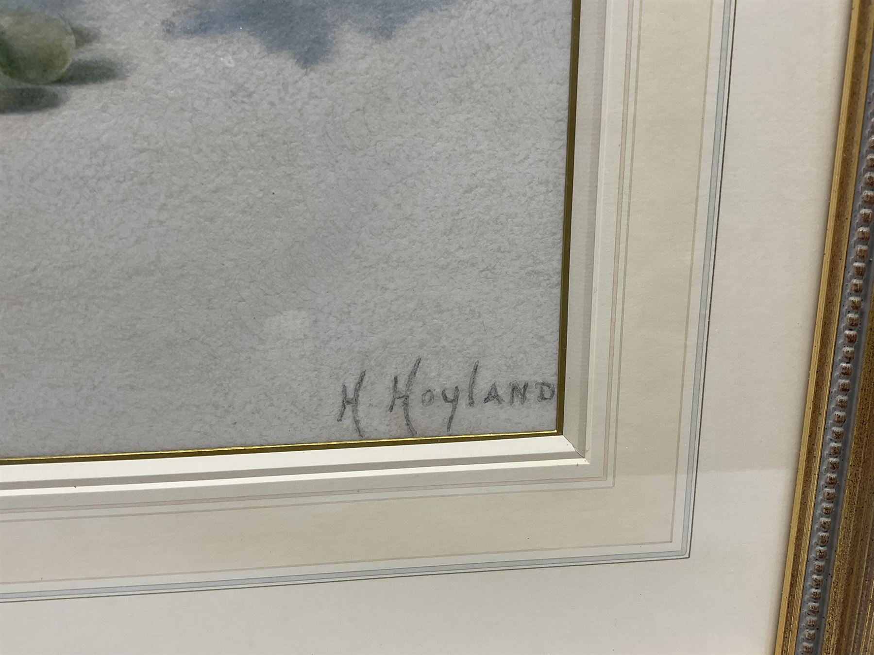 Hannah (Hoyland) Mayor (Staithes Group 1871-1947): Still Life of a Decanter and Grapes, watercolour signed, with E.S.K. (examined by South Kensington Art School) blind stamp 40cm x 65cm 
Provenance: gifted to the vendor's mother by her friend Edith Chudley, the artist's daughter - never been on the market.