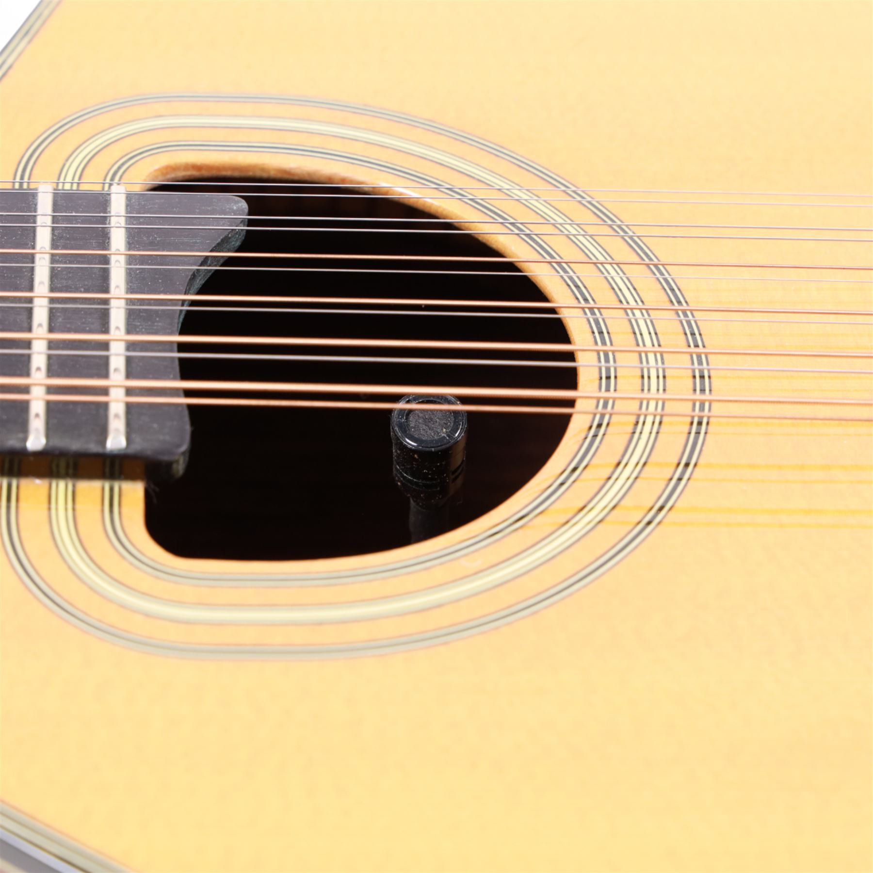 Brazilian Giannini Craviola twelve string acoustic guitar, with Fishman Premium Blend onboard pickup, serial no. 000019116, in fitted hard case