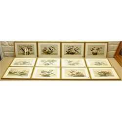 Chinese School (Early 20th century): Bird Studies, set 12 paintings on rice paper unsigned 14cm x 23cm (12)