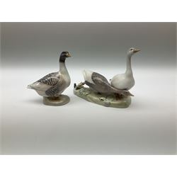 Eight Royal Copenhagen figures, cockerel 1025, hen 1024, group of two geese 609, robin 2266, squirrel 982, cockerel 1127, goose 1088 and owl 1741.  