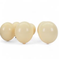 Six blown Ostrich (Struthio) eggs