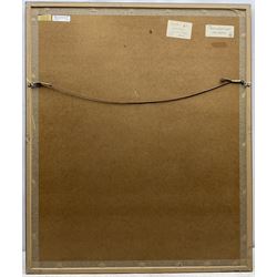 Herbert Whone (Northern British 1925-2011): 'Ingleton Falls', pastel signed titled and dated 2001, 62cm x 49cm