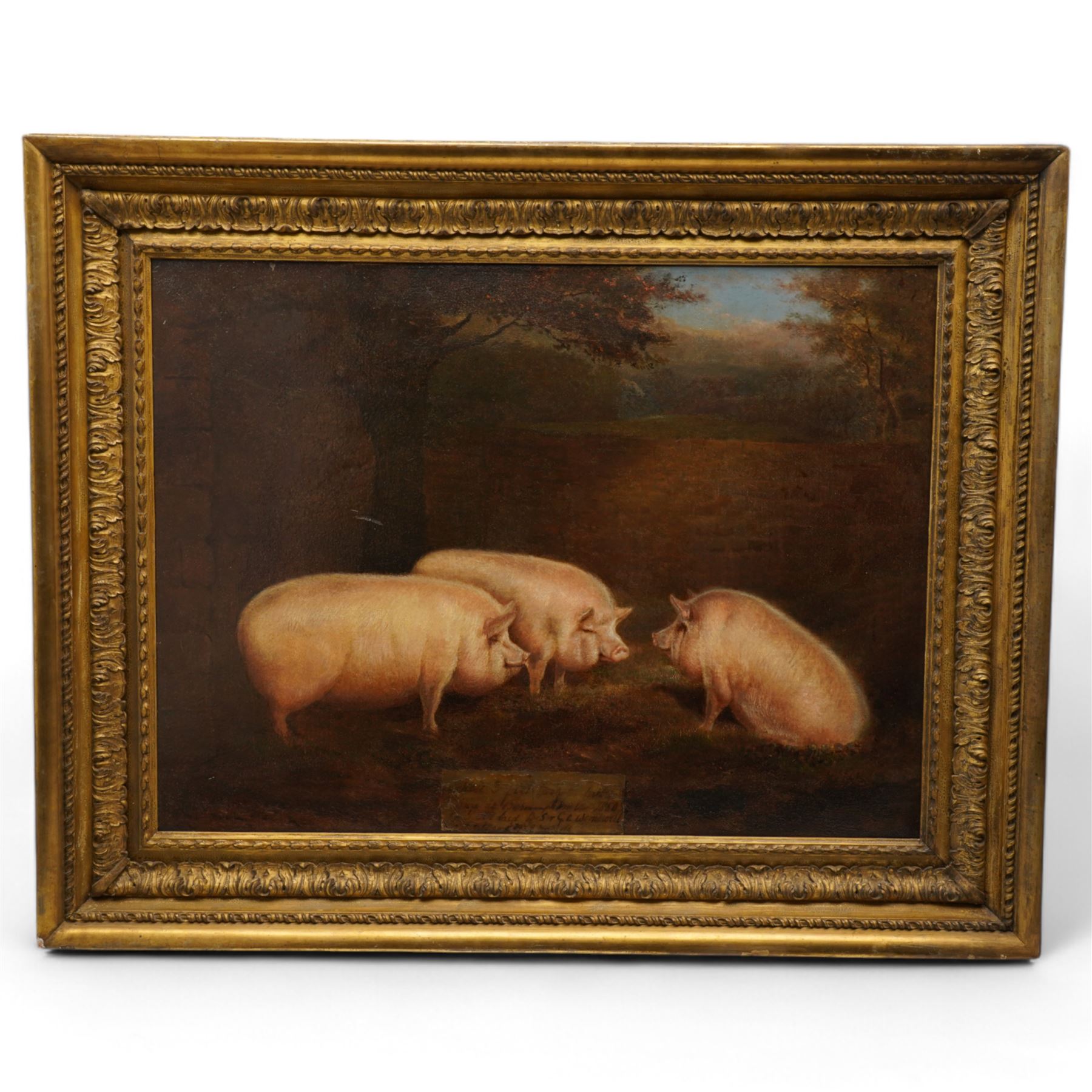 English School (Mid-19th century): Three Prize Pigs, oil on canvas unsigned inscribed 'These three pigs took first prize at Birmingham ... 1860, pigs were bred by Sir G O Wombwell and sold for £39...', undated c.1860, 54cm x 73cm
Notes: Sir George Orby Wombwell, 4th Baronet (1832-1913) (Newburgh Priory,  Coxwold, York, North Yorkshire) fought in the Crimean War (1853-1856) and took part in the Charge of the Light Brigade, before inheriting his title in 1855, and in 1861 served as High Sheriff of Yorkshire.