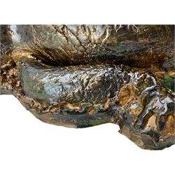 Galea Belinscaia (Yorkshire, Contemporary): Stoneware model of a baby alligator, with textured glaze finish, L56cm 