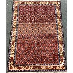 Hamadan red ground rug, repeating border and field, 194cm x 136cm