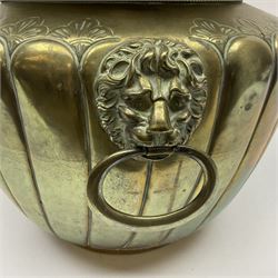 Brass jardinière with fluted rim decorated with floral sprigs, with lion mask handles, with various shells displayed inside under a glass cover, D36cm, H36cm 