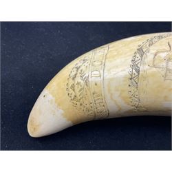 19th century scrimshaw sperm whale tooth from the whaler 'Dove' initialled J.A, Notes, Dove was a Union whaling boat, built at Newbury. Tt was scuttled as part of the Second Stone Fleet on January 25th-26th, 1862, in an attempt to block Charleston Harbor. The captain of the Dove was Captain James Wells Green Port. There were five members of the crew had the initials J.A, any of which could have created the scrimshaw.