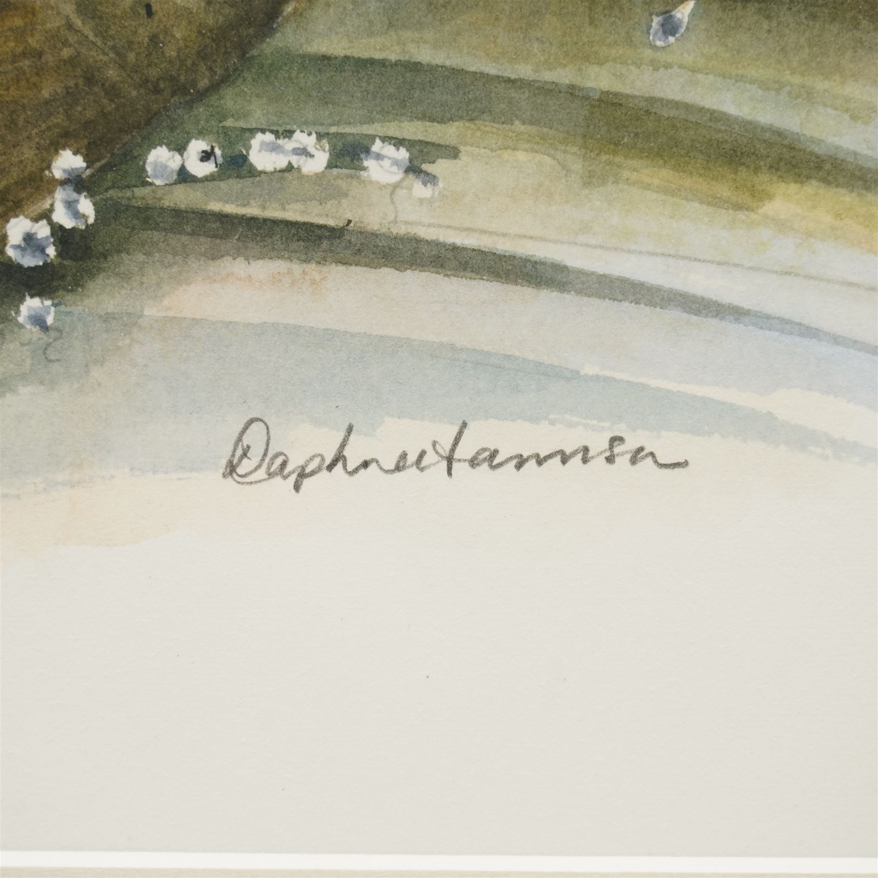 Daphne Harrison (Northern British Contemporary): Brown Trout and Rainbow Trout, pair watercolours signed 31cm x 37cm (2)