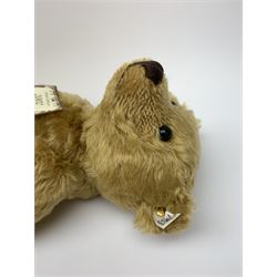 Steiff limited edition British Collector's Teddy Bear 2002, honey golden colour with growler mechanism, No.170/4000, H14