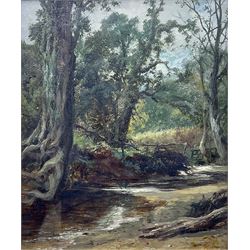 Leopold Rivers (British 1850-1905): A Secluded Stream, oil on canvas signed, partial label verso 29cm x 24cm 