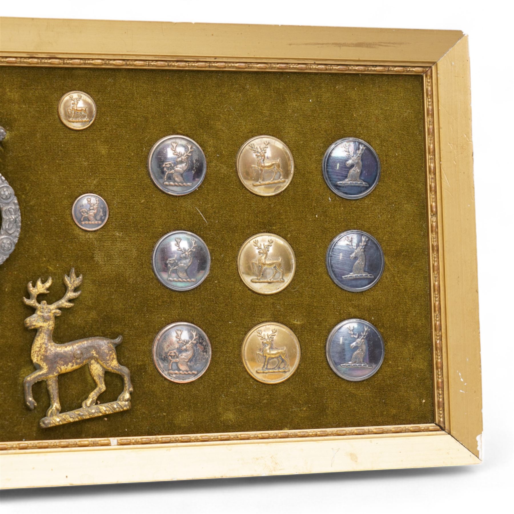 Collection of twenty two 19th century livery buttons with stag motif, badge with stag and St George design and two gilt stag  badges, framed 18cm x 44cm 