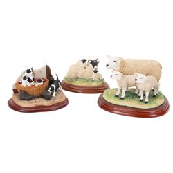 Seven Border Fine Arts animal figures, comprising Otter, Fox, Mummy's Boys, Wash Day, On The Farm, King of the Castle and Ewe & Lambs, all on wooden plinths