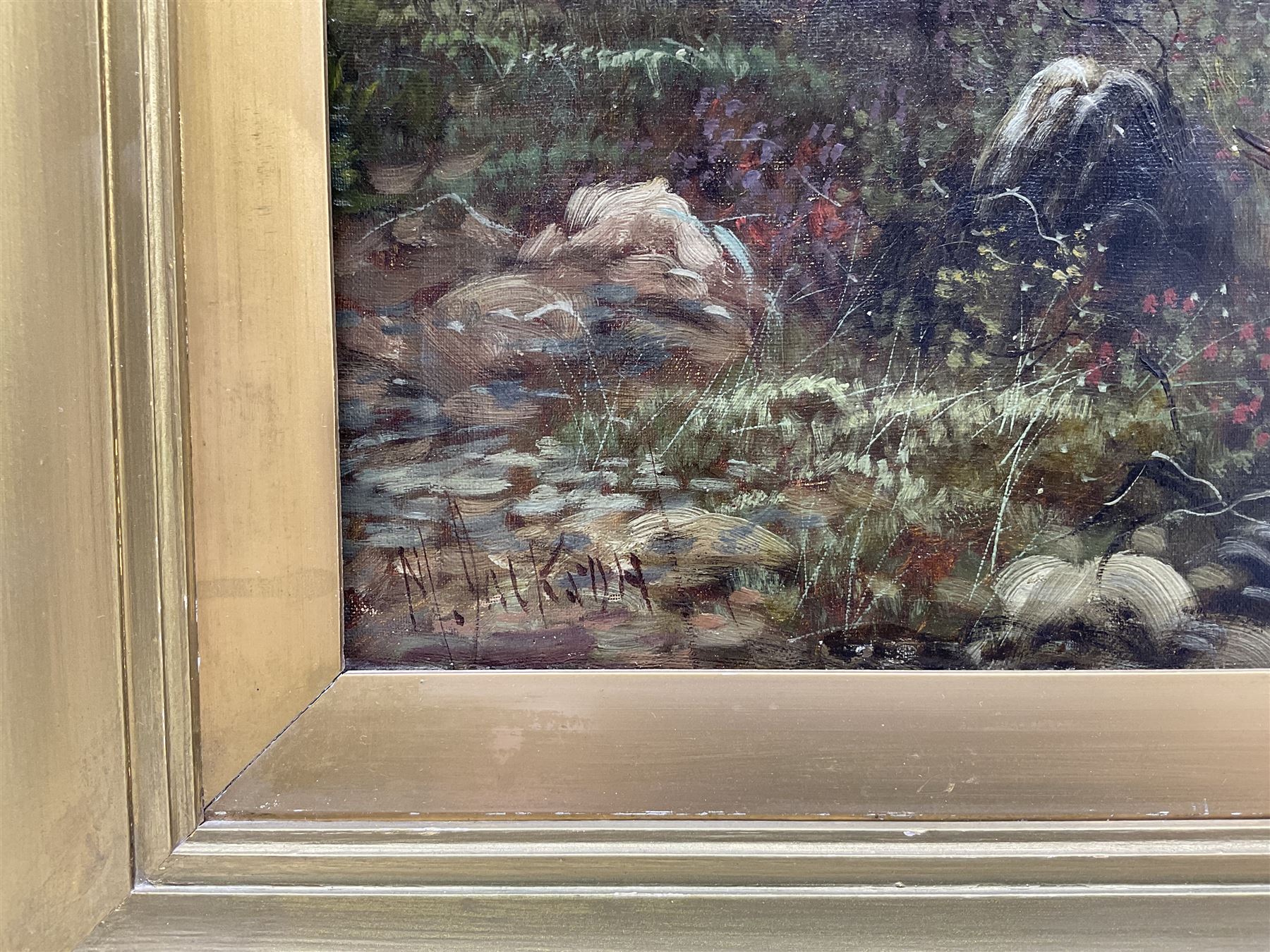 Scottish School (19th Century): Highland Cattle, oil on canvas indistinctly signed 44cm x 69cm