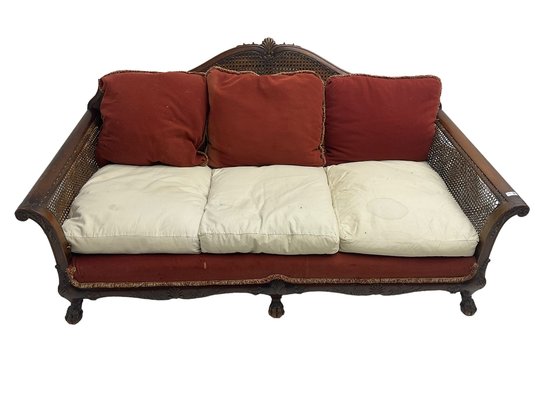 Early 20th century bergère three seat settee, shaped shell carved cresting rail, double caned back and sides, scrolled upright arms and shaped apron carved with shell and foliage, on hairy paw carved feet