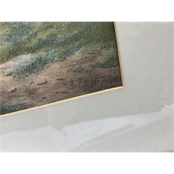 E Brown (British 19th/20th century) after George Fall (British 1848-1925): River Ouse with View of York and Lendal Bridge, late 19th century lithograph signed in the plate 45cm x 74cm