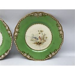 Set of four early 19th century plates, hand painted with birds within green and gilt ornate border D24cm