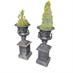 Pair of Victorian cast iron campana form garden urns, the gadrooned flared edge over a scrolling acanthus relief body, with twin male mask handles to each side, over a lobed underbelly with fluted socle, the rectangular pedestals with relief floral garlands and stepped base, in rustic black-painted finish, planted
