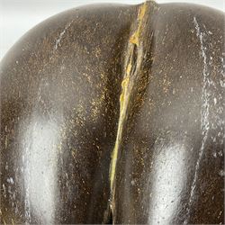 Coco De Mer (Lodoicea Maldivica), L29cm, H15cm 