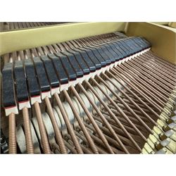 Yamaha - Baby Grand (5' 3