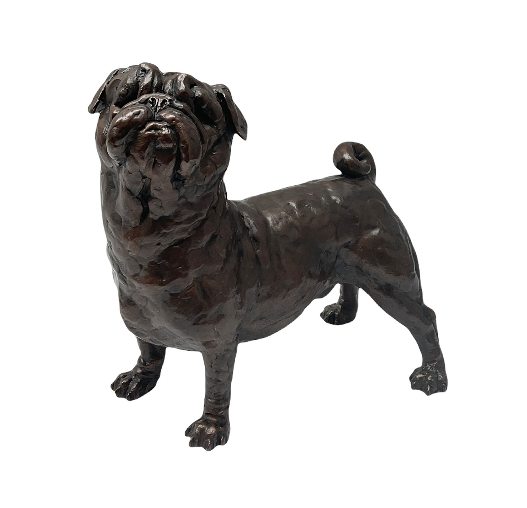 Grant Palmer, cold cast bronze model of a pug, H21.5cm L21cm