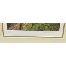 Robert E Fuller (British 1972-): Red Fox on Tree Stump, limited edition colour print signed and numbered 6/850 in pencil 30cm x 22cm