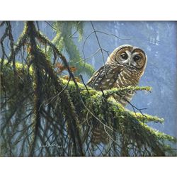 Robert McLellan Bateman (Canadian 1930-): Owl perched in Trees, oil on canvas signed and dated 1989, 35cm x 45cm