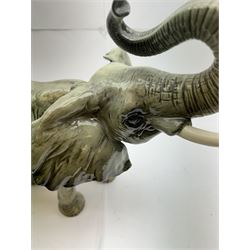 Large Goebel elephant, H37cm