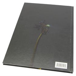 Rankin; collection of coffee table books, including The Dazed Decades 1990-2016,More: A Retrospective, Ayami Nishimura, We are Congo etc, all signed except Alice in the Face of Death 
