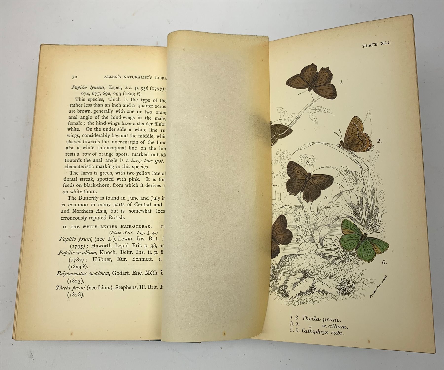  Kirby W.F.: A Hand-Book to the Order Lepidoptera. Three volumes. 1894-7. Allen's Naturalist's Library Series. Chromolithograph plates. Uniformly bound in blue cloth with marbled boards.  