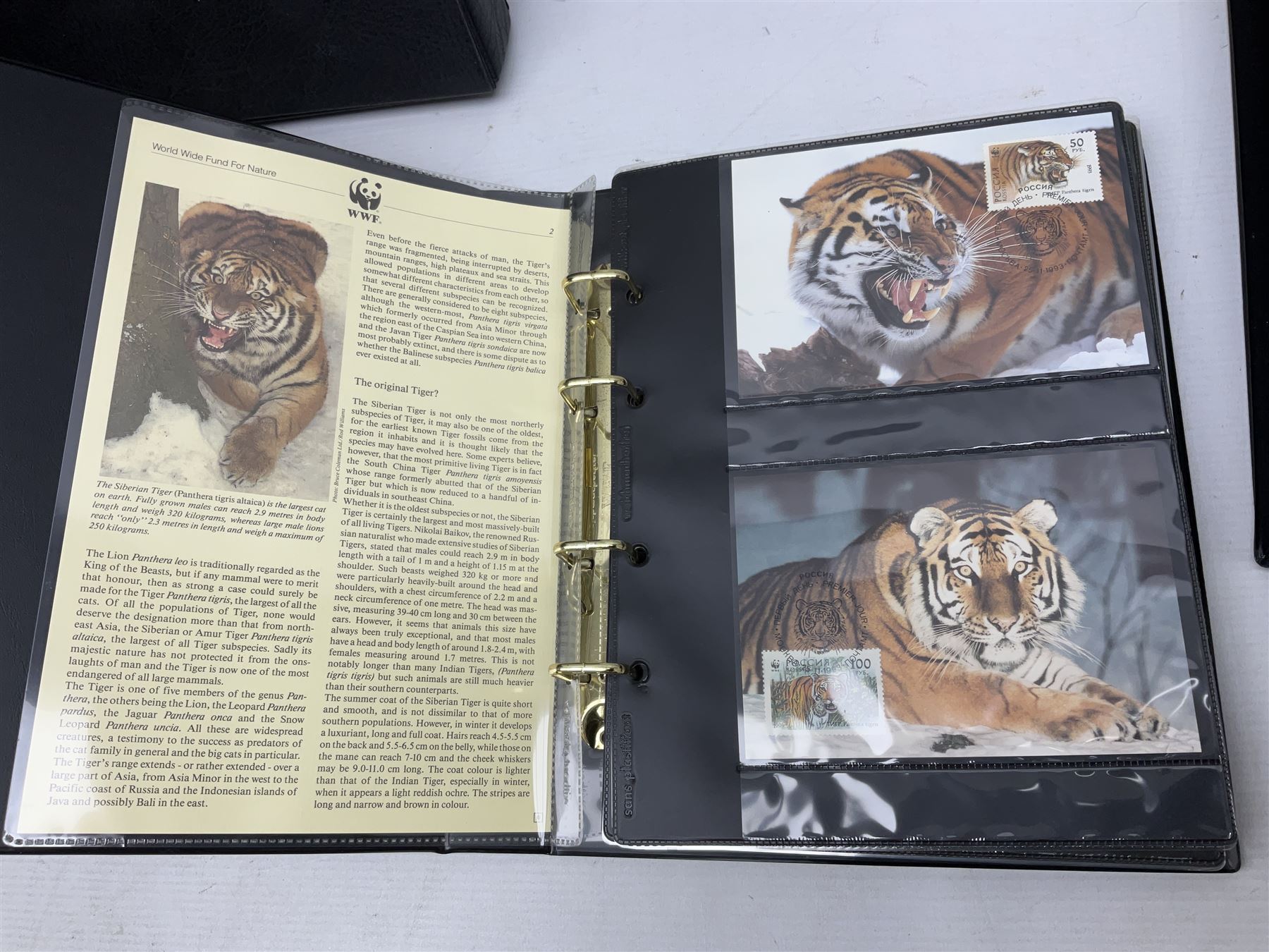 Stamps including first day covers relating to Diana Princess of Wales, small number of coin covers, Mercury 'Silk' covers, other first day covers many with printed address and special postmarks, Australia, Barbados, British Honduras, Germany, Jamaica and other World stamps, housed in albums, folders and loose, in one box