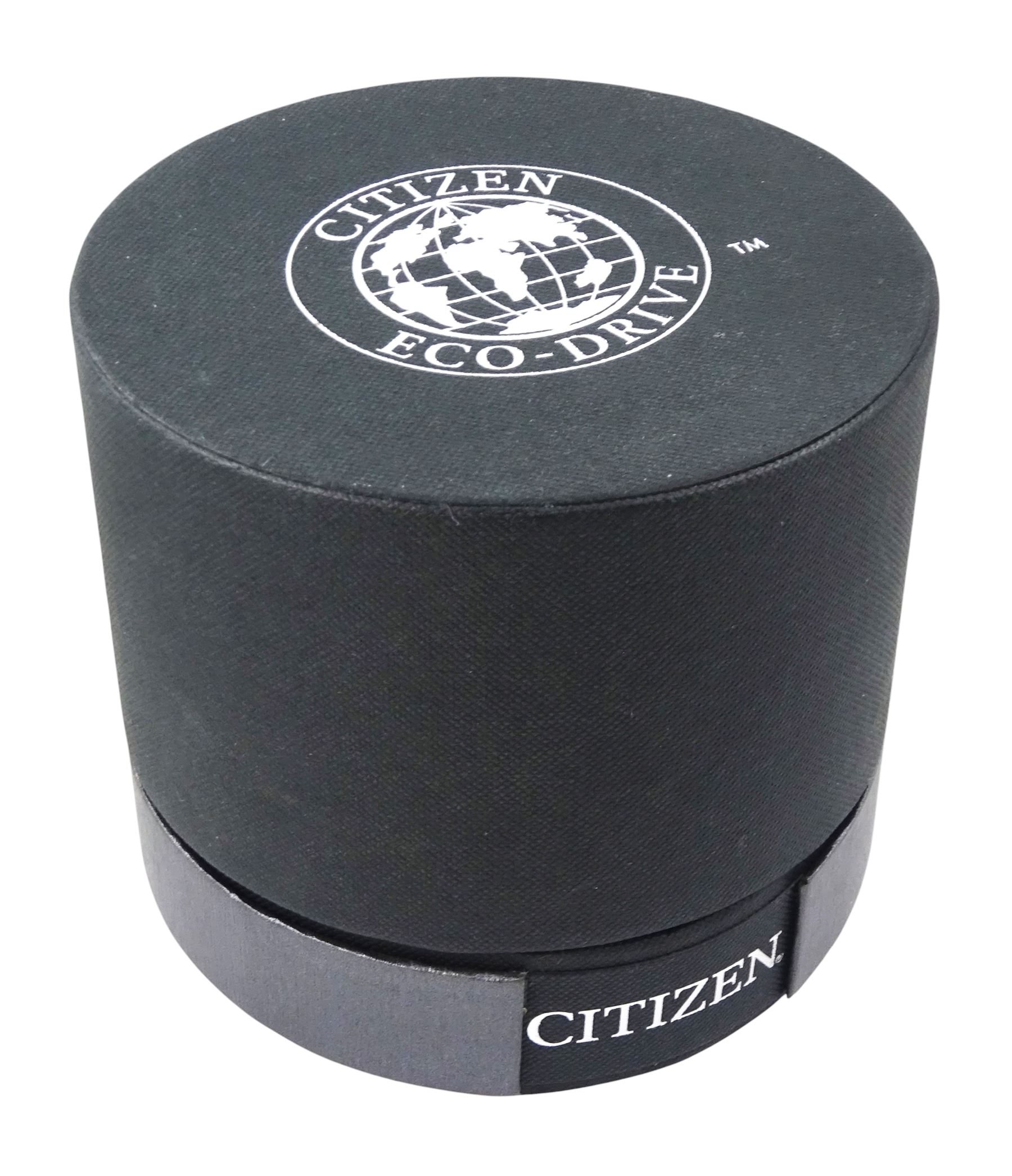 Citizen Eco-Drive Perpetual Calendar gentleman's black stainless steel quartz wristwatch, Ref. WR 100, on original strap with fold-over clasp