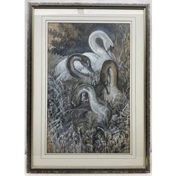 Charles Frederick Tunnicliffe (British 1901-1979): Four Swans, watercolour gouache charcoal and pencil signed, a preparatory sketch for a larger painting 66cm x 42cm
Provenance: private collection; with Park Lane Galleries, Poynton, Cheshire