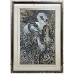 Charles Frederick Tunnicliffe (British 1901-1979): Four Swans, watercolour gouache charcoal and pencil signed, a preparatory sketch for a larger painting 66cm x 42cm
Provenance: private collection; with Park Lane Galleries, Poynton, Cheshire