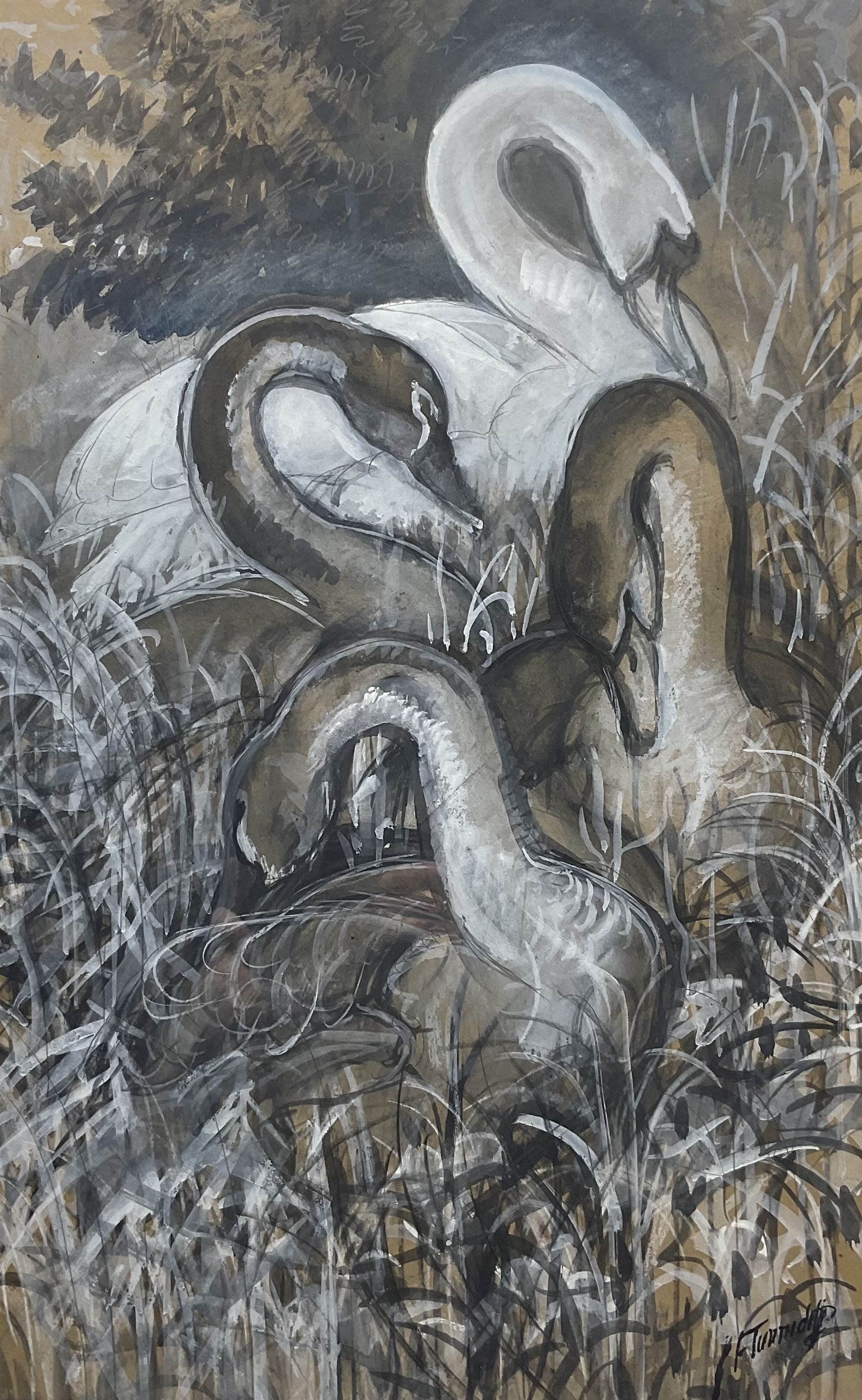 Charles Frederick Tunnicliffe (British 1901-1979): Four Swans, watercolour gouache charcoal and pencil signed, a preparatory sketch for a larger painting 66cm x 42cm
Provenance: private collection; with Park Lane Galleries, Poynton, Cheshire