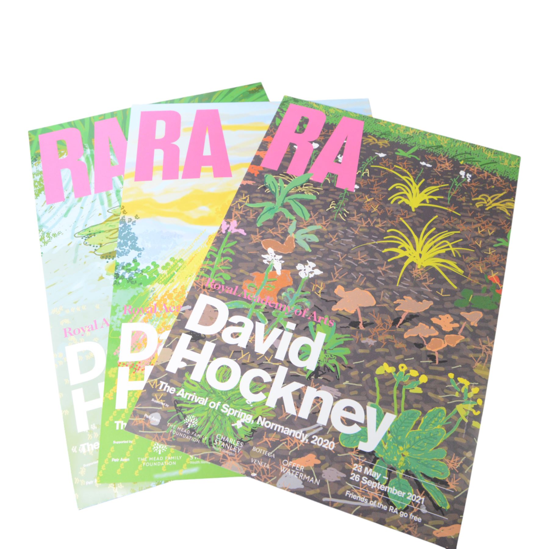 Three Royal Academy David Hockney posters, two David Hockney books and a collection of other art books including two Vetriano auction catalogues