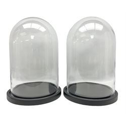 Pair of glass domes upon circular bases, H42cm 