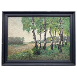 Willi Krug (German 1893-?): Birch Trees near Berlin, oil on canvas signed, labelled verso 70cm x 100cm