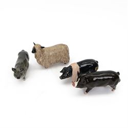 Three Beswick pigs, comprising Saddlebac