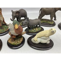 Twelve Country Artists figures of animals, to include five Nature Trail examples, Fox Sitting CA 607, View Of Nature Fox Cubs etc, all with boxes