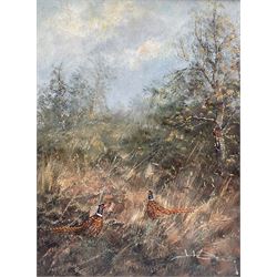 English School (20th century): Pheasants in a Countryside Landscape, oil on canvas indistinctly signed 40cm x 30cm