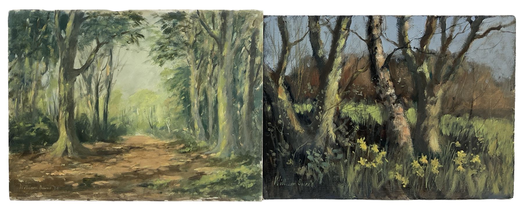 William Burns (British 1923-2010): 'Daffodils in Spring' and 'A Path in the Woods', pair oils on board signed, titled verso 26cm x 35cm (2) (unframed)
Provenance: direct from the family of the artist