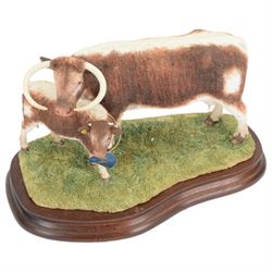 Border Fine Arts Longhorn Cow and Calf, model B0993, on wooden base with certificate