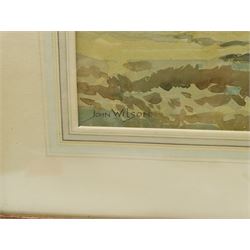 John Wilson (20th century): Extensive Landscape, watercolour signed 47cm x 65cm