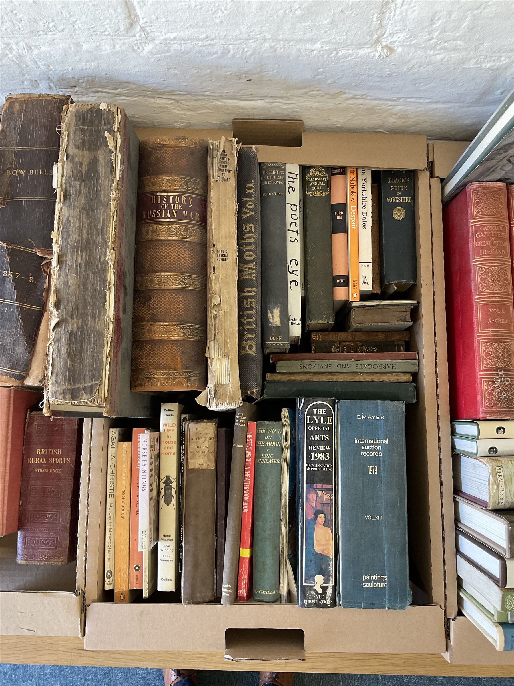Large collection of 19th century and later books, themes including art, natural history, geography, etc, including Cassell’s Gazeteer of Great Britain and Ireland (six volumes), Tyrrell, The History of the War with Russia, Baxter’s British Flowering Plants (three volumes), Sidney, The Book of the Horse, The Book of the Dog, Bewick’s British Birds, etc (four boxes)