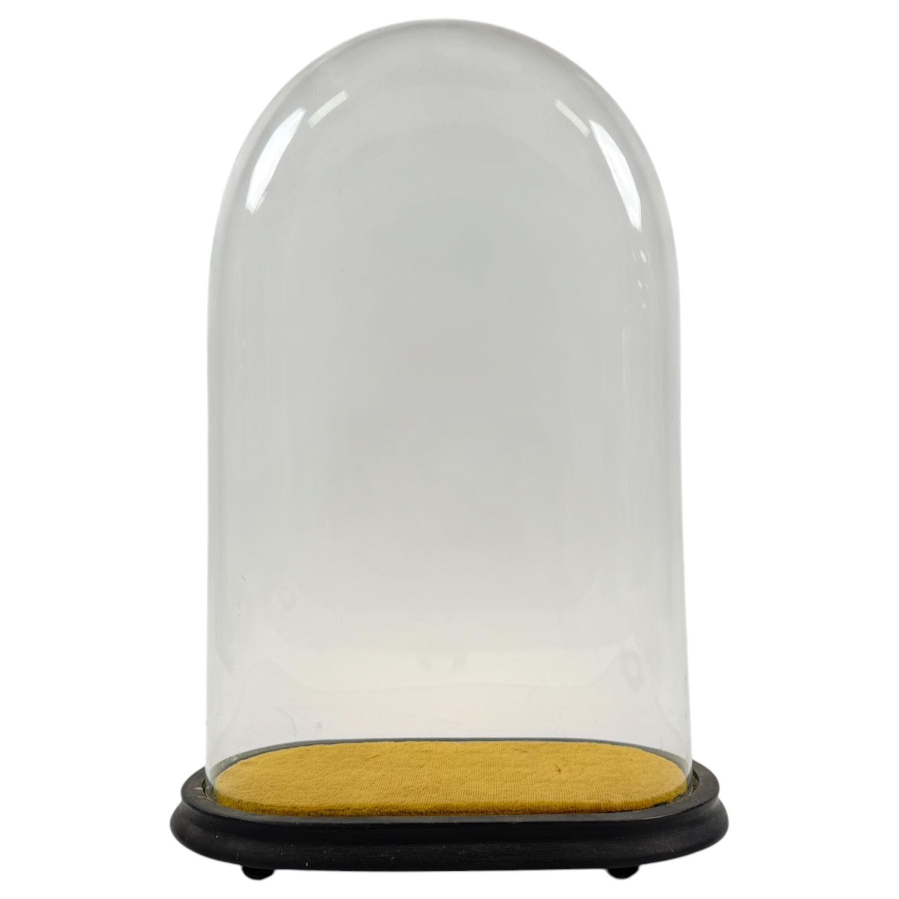 Glass dome on wooden base, dome H39cm