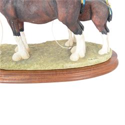 Border Fine Arts, Champion Mare and Foal and two others 