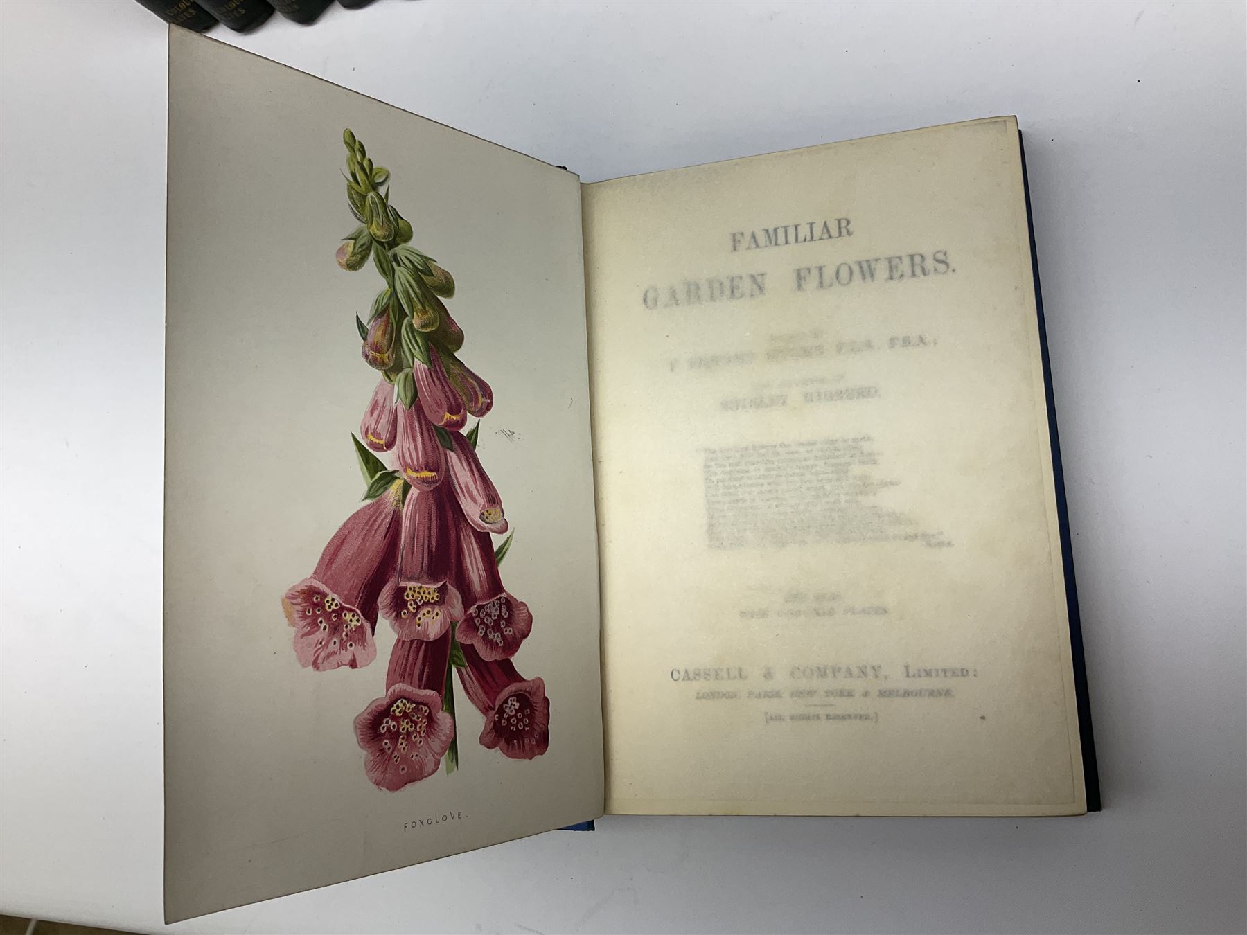 Hulme, F. Edward; 'Familiar Wild Flowers' with coloured plates, five volumes, together with Hulme, F. Edward; 'Familiar Garden Flowers' described by Shirley Hibberd with coloured plates, five volumes, each with coloured title labels 