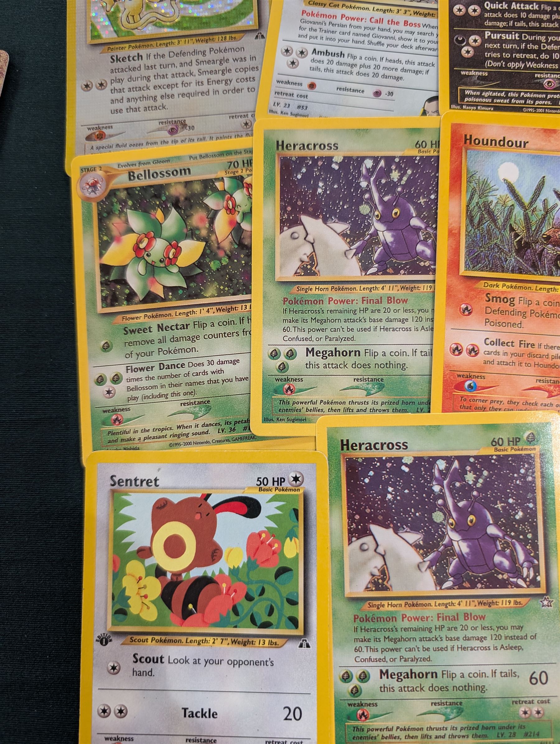 Collection of Pokemon TGC trading cards, including two WB First Movie Black Star promo cards Pikachu no. 4 and Dragonite no. 5, two Ancient Mew Black Star holo promo cards, Gym Challenge Giovanni's Persian 8/132 holo and a small collection WOTC, Neo Discovery and Neo Genesis cards, together with thirty four Bandai Carddass Pokemon cards, including prism Charizard no. 186 and Pokemon Topps cards including holo examples 