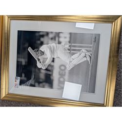 Collection of cricket memorabilia, including three black and white prints of Sir Ian Botham, colour print of Sir Ian Botham, signed limited edition Ashes Winners print, and a framed piece of The Times 1895, all framed, largest H70cm